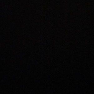 Meet your Posher, Tanner